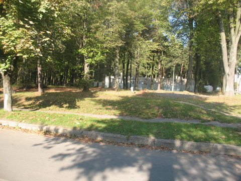 Старый парк Барановичей, территория которого решением горисполкома определена постоянным местом массовых мероприятий в городе.