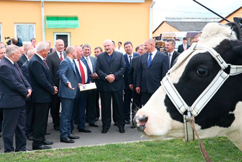 Кандидат в депутаты Дмитрий Гоборов - справа от А. Лукашенко. Во время рабочего визита главы государства по Брестской области. Фото varjag.net