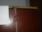 Барановичи: В ящик для голосования пролезает рука (фото) 