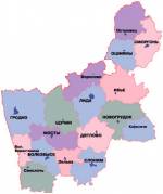 Гродненщина: количество безальтернативных округов увеличилось