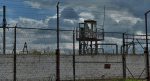 МВД проверяет информацию о бунте заключенных в колонии под Ивацевичами 