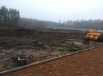 Вырубка деревьев в Солигорске.