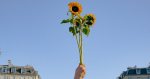 "Human rights defenders are under threat". The Sunflower Declaration was presented at a Nobel Peace Conference
