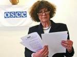 Нового главу рабочей группы по Беларуси ПА ОБСЕ изберут в июне