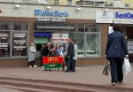Витебск: инициативная группа Василий Чекана собирает подписи у избирателей, живущих на территории другого округа