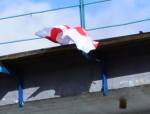 Легендарный Мирон поднял бело-красно-белый флаг в честь политзаключенных
