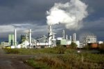 Светлогорцы просят экологическую инспекцию защитить их от выбросов нового химического завода