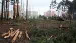 Общественность отстояла солигорский лес