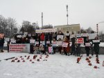 «Подали 38 заявок на 10 дней подряд». В Минске прошел еще один пикет против домашнего насилия