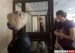 Son of a priest from Hrodna sentenced to three and a half years in prison for inciting hatred