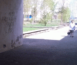 Бобруйская милиция не реагирует на неонацистские надписи на здании опорного пункта (фото)