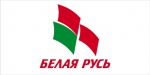 Во время выборов "Белая Русь" организует региональные штабы