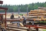 Libereco demands an independent investigation into greenwashing by FSC in Belarus