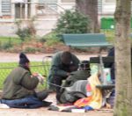 В Бобруйске запланирована охота на бездомных
