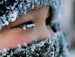 Минская школа замерзает: родители учеников грозят забастовкой