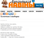 Районные сайты Брестчины продолжают публиковать негативные статьи об оппозиции