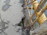 В Орше подана заявка на пикет по проблеме аварийного моста