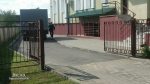 Пружаны: женщину приговорили к году колонии за "оскорбление Лукашенко". Дома у нее осталось около 80 животных