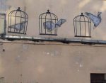 Vitsebsk: more fines for photos with “birds and cages”
