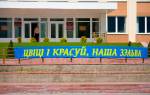 Zelva district: head of village soviet prohibits electoral meeting